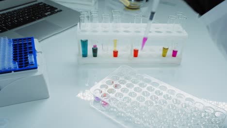 laboratory experiment with test tubes and microplates