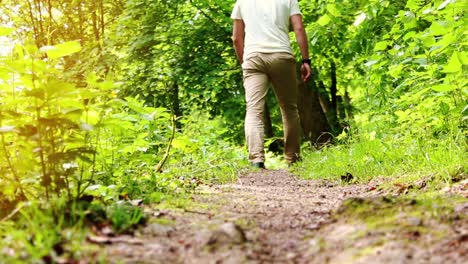 Hombre-Caminando-En-El-Bosque-De-Otoño-Parque