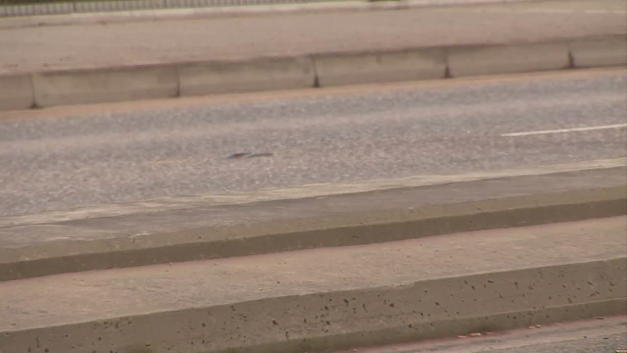 스 ⁇  영상 느리게