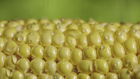 close-up of wet corn kernels