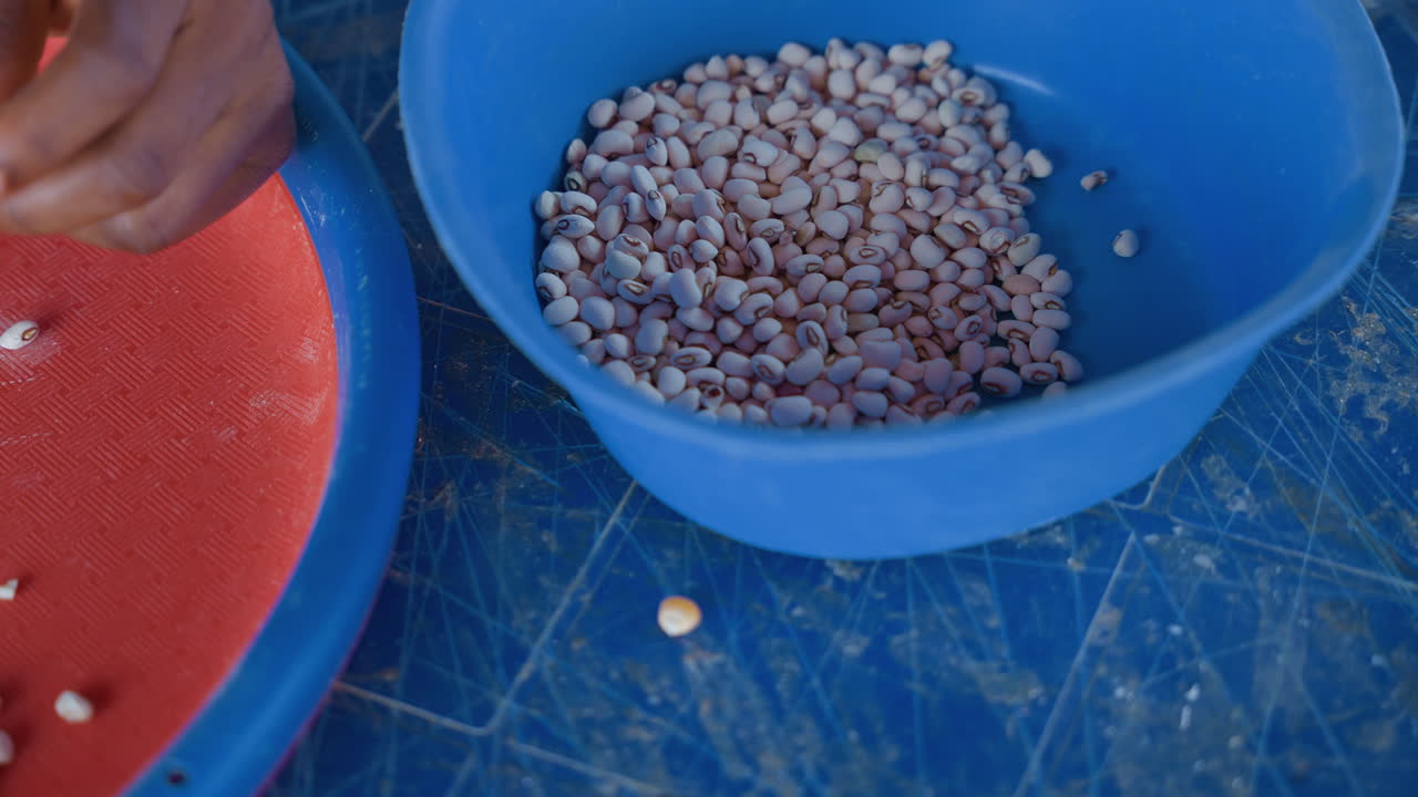 Black hands filling blue bowl with beans from red sieve, quick transfer and counting at household table, market prep vibe, vendor style packing and quality check, bright plastic basin and textured