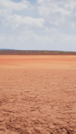 arid desert landscape with cracked earth