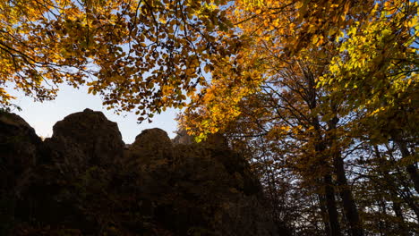 Time-lapse-of-the-sun-passing-over-a-warm-orange-leafy-tree