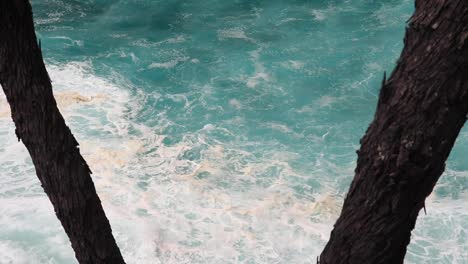 View-of-the-calm-ocean-seen-through-two-branches