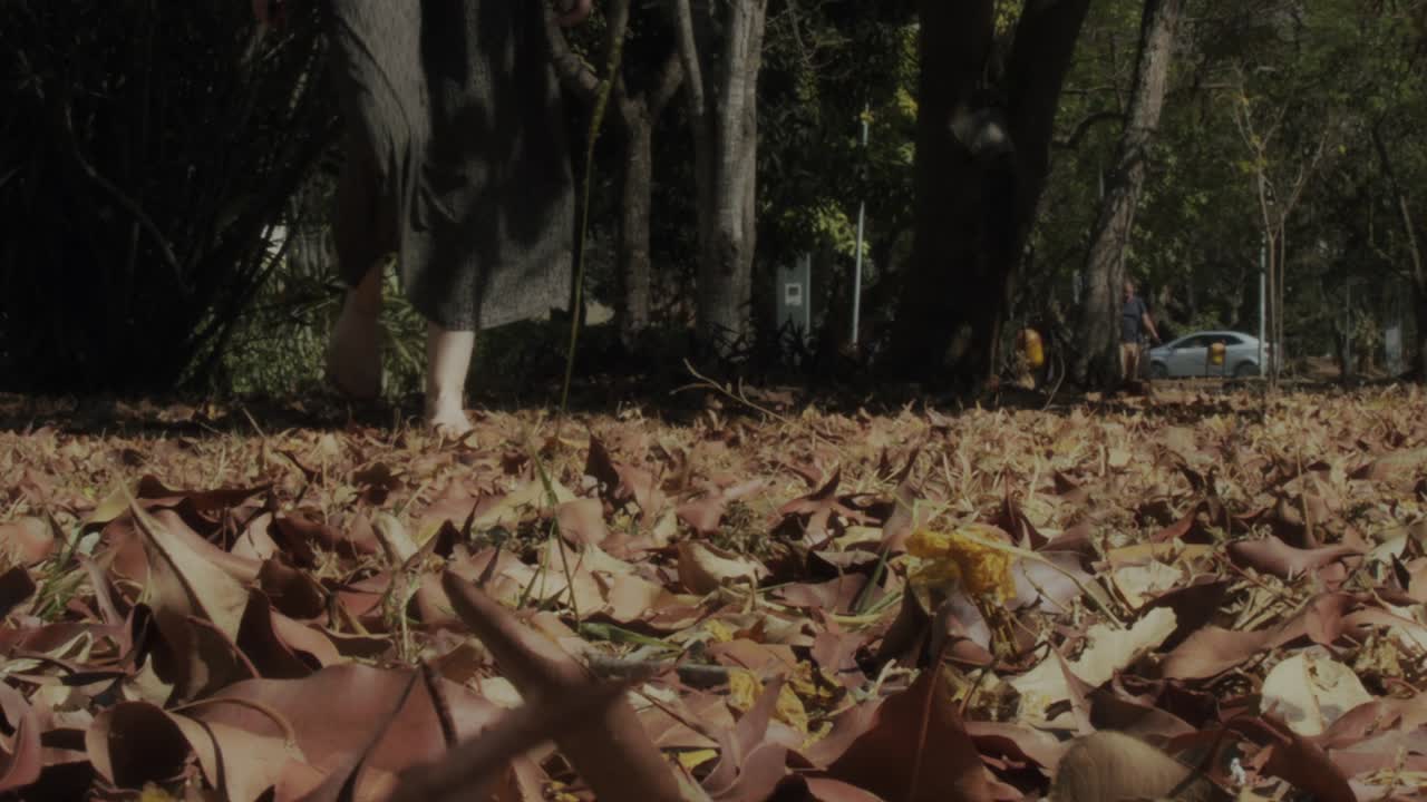 ฉากน่าสะพรึงกลัว ผู้หญิงโดดเดี่ยวในชุดเดรสสีเข้มกำลังเดินบนพื้นดินที่ปกคลุมด้วยใบไม้ ภาพมุมต่ำ