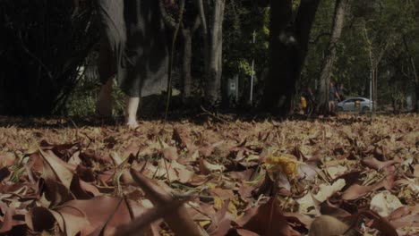 Scary-scene,-lonely-woman-in-dark-dress-walking-on-leaf-covered-ground,-low-angle-shot