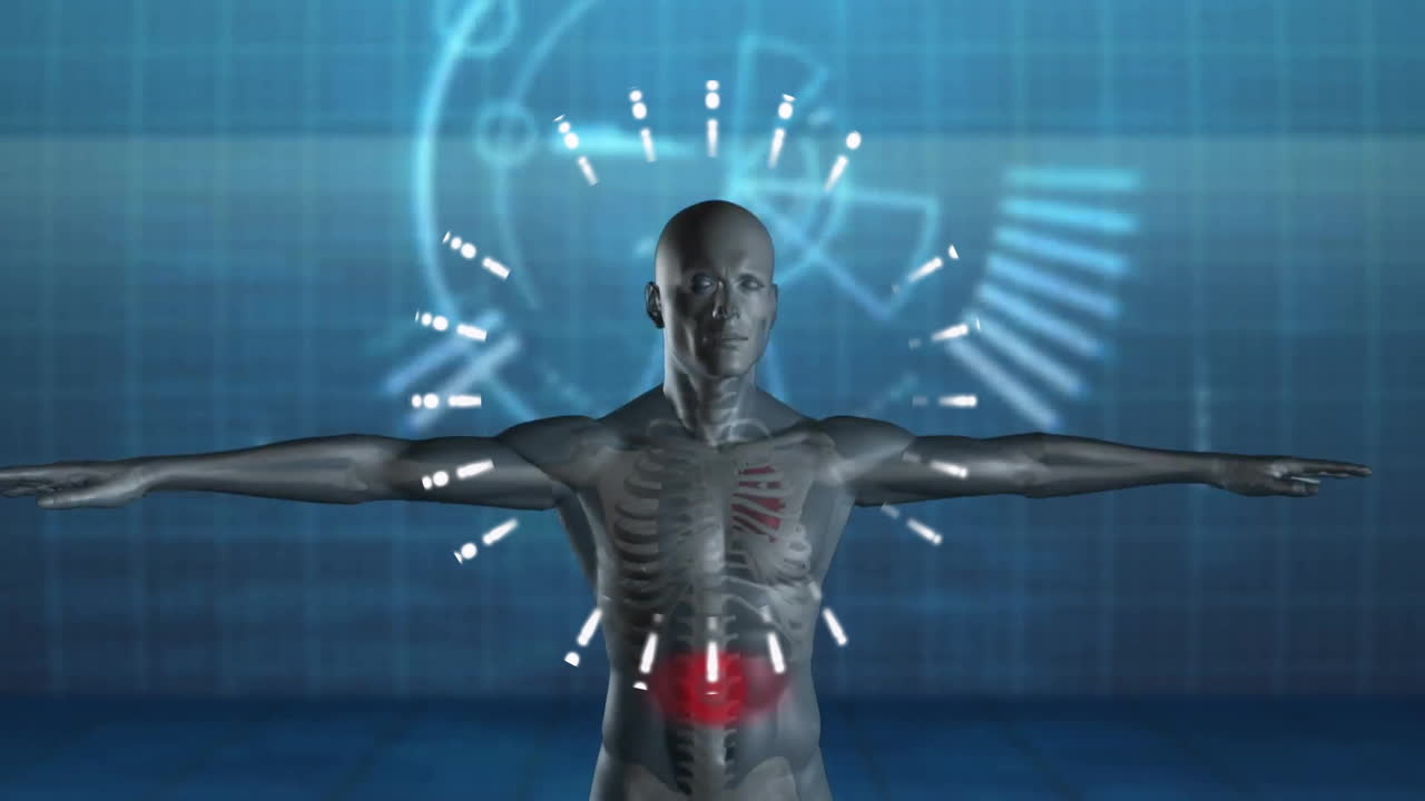 Animation of digital human anatomy with DNA strand in school setting