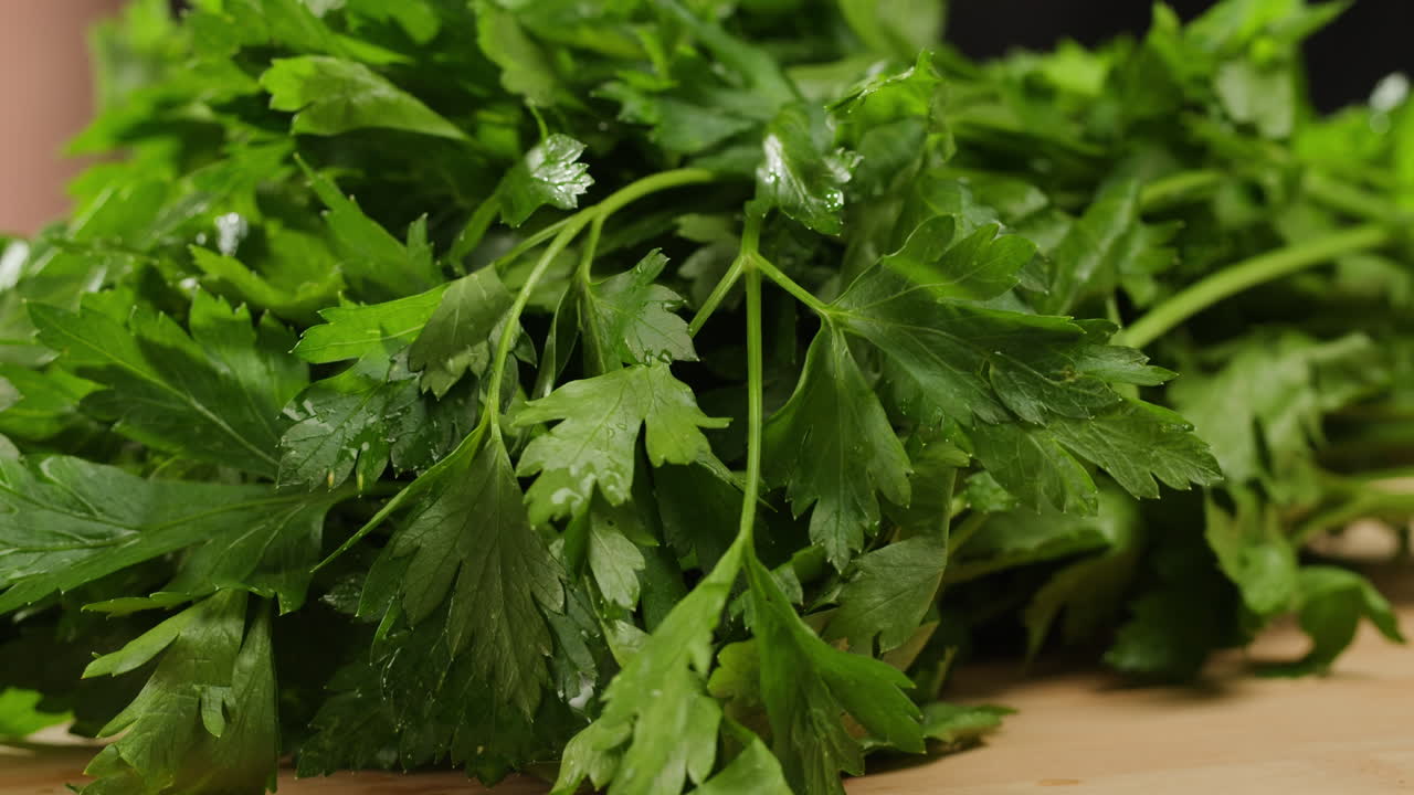 Cilantro parsley cutting by knife close up, chef chop cut coriander aromatic, traditional asian and Mexican cuisine herb studio shot. High quality 4k footage