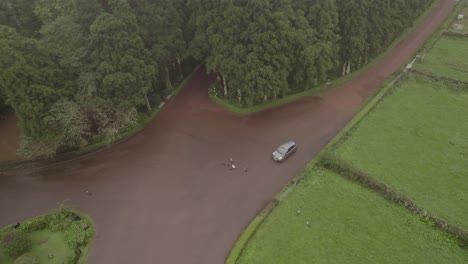 patos cruzan la calle frente al auto - parque florestal das sete fontes, dron brumoso
