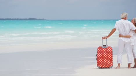 caucasian senior travellers outdoors on beach with suitcase