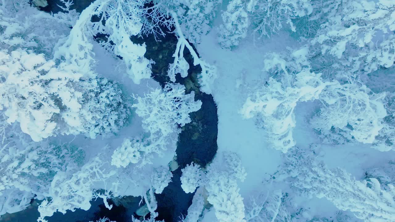 vista a volo d'uccello sul fiume che scorre attraverso la foresta invernale in norvegia - foto del drone
