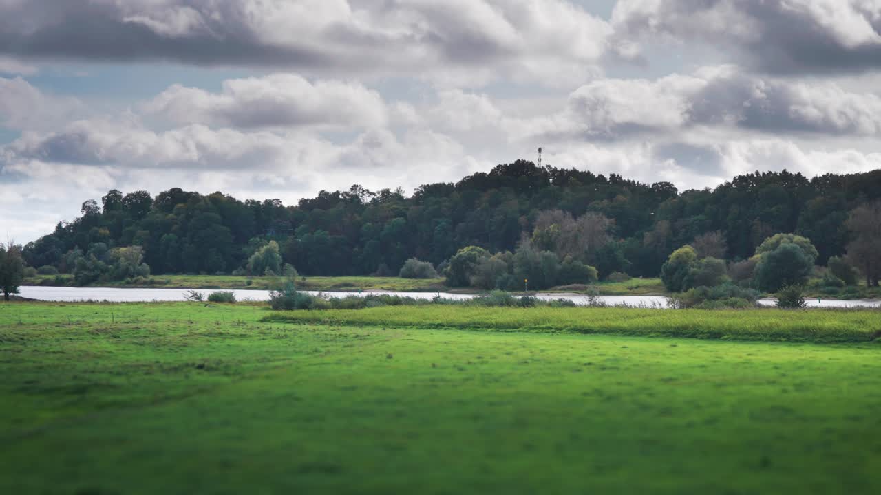 엘베 강변을 따라 독일 시골의 목축적이고 조용한 풍경