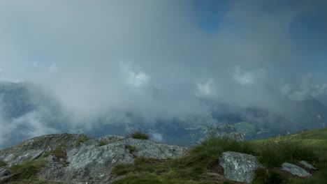 verbier grasansicht 4k 00