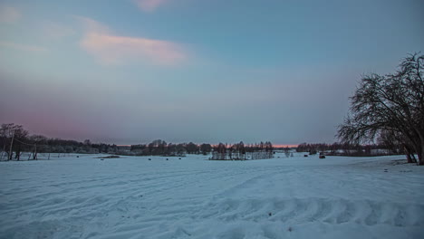 Bosque-Nevado-En-El-Gradiente-De-Transición-Del-Atardecer,-Tierra-Cubierta-De-Blanco-En-Un-Lugar-Aislado-Del-Campo,-El-Cielo-Se-Vuelve-Azul-Profundo-De-Oro-Rosa-Anaranjado,-Toma-Panorámica-De-Establecimiento