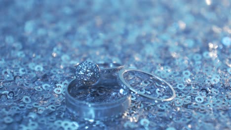 elegant wedding rings on sequins