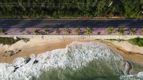 slow motion top view of the beautiful landscape of the beach water waves crashing to the sand next to the coastal road on the sunset of vietnam, mui ne at palm trees forest background of the road