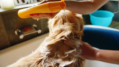 Frau-Trägt-Im-Badezimmer-Shampoo-Auf-Ihren-Hund-Auf-4K