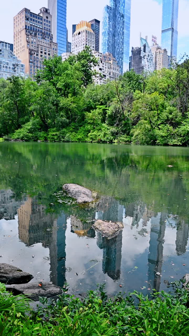 Skyline in central park. A sunny Central Park day highlights greenery, rock reflections in calm water, with Manhattan skyline behind