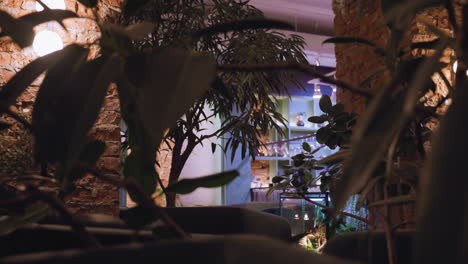 leafy indoor plant partially obscures view of softly lit shelf and glassware display against exposed brick wall. ambient lighting enhances cozy, natural atmosphere in stylish indoor setting