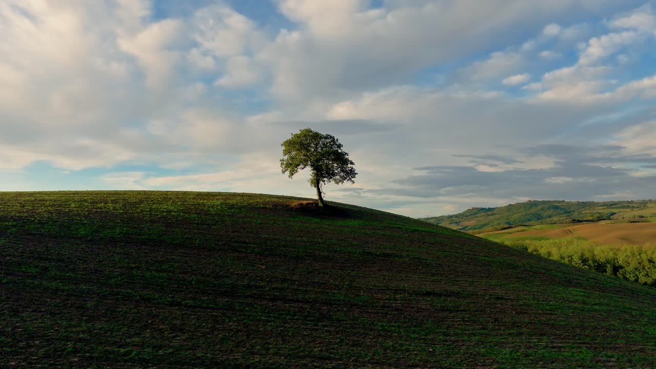 Aerial of a lone tree in the middle of a ploughed field in Tuscany in low light, Province of Siena, Italy