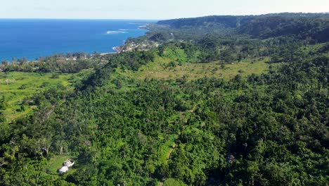 Aerial-drone-holiday-rainforest-coastline-and-headland-shot-tropical-holiday-destination-nature-travel-tourism-Efate-South-Pacific-Islands-Vanuatu-4K