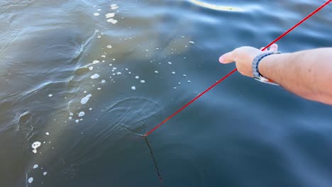 pulling up a crab trap from the water