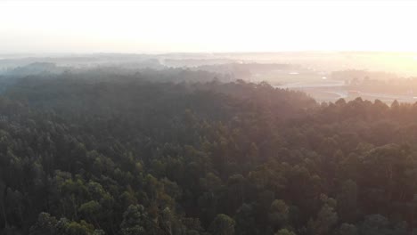 Vista-Aérea-De-Un-Bosque-Al-Atardecer-amanecer