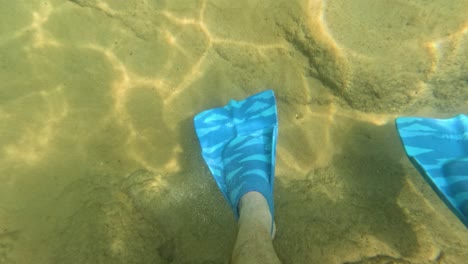 underwater exploration with blue flippers on a sunlit sandy seafloor in phuket, thailand. clear water and vibrant marine life