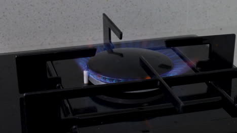 close-up of a large kitchen gas stove burner with a blue flame, symbolizing cooking, heating, and meal preparation in a home kitchen