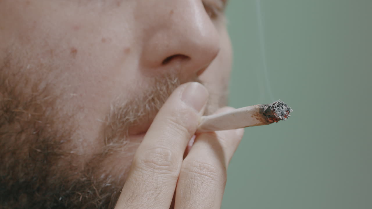 가족과 아이들의 어려움을 매일매일 대마초의 도움으로 해결하는 것