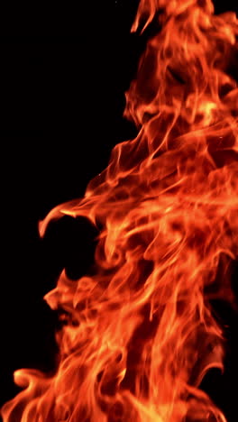 red hot fire flame rising into air. burning bonfire upper part isolated at black backdrop. vertical video