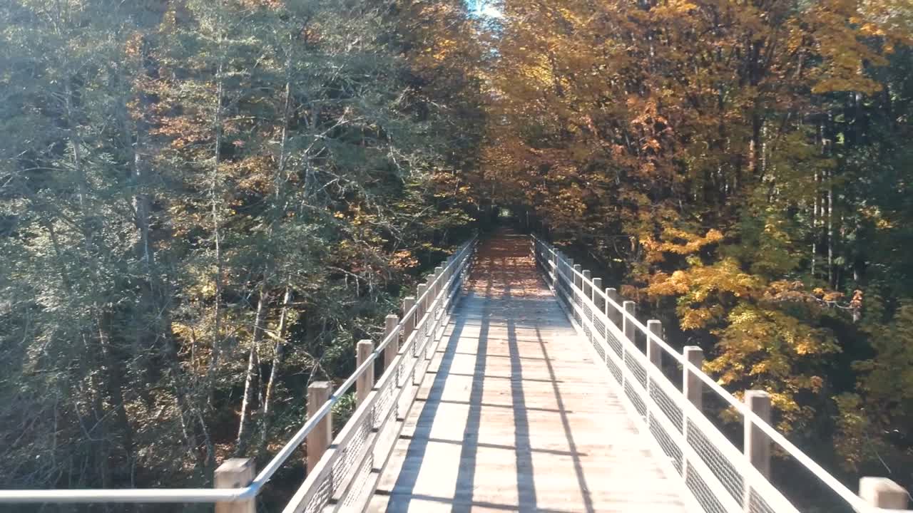 가을에 캐나다의 오래된 목조 철교에서 전망을 바라보는 여성의 낮은 각도로 드론 샷
