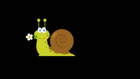 cute snail with a flower in its mouth