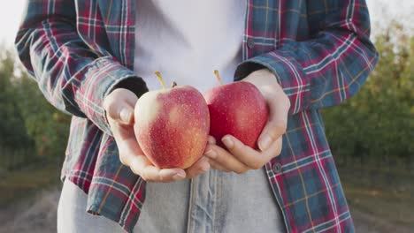 woman holding apples in an orchard