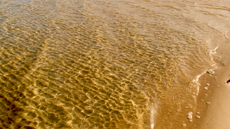 clear rippling water on a sandy beach shore