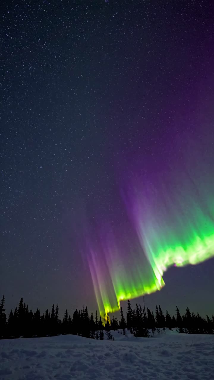 Vertical video of vibrant aurora borealis over snowy landscape