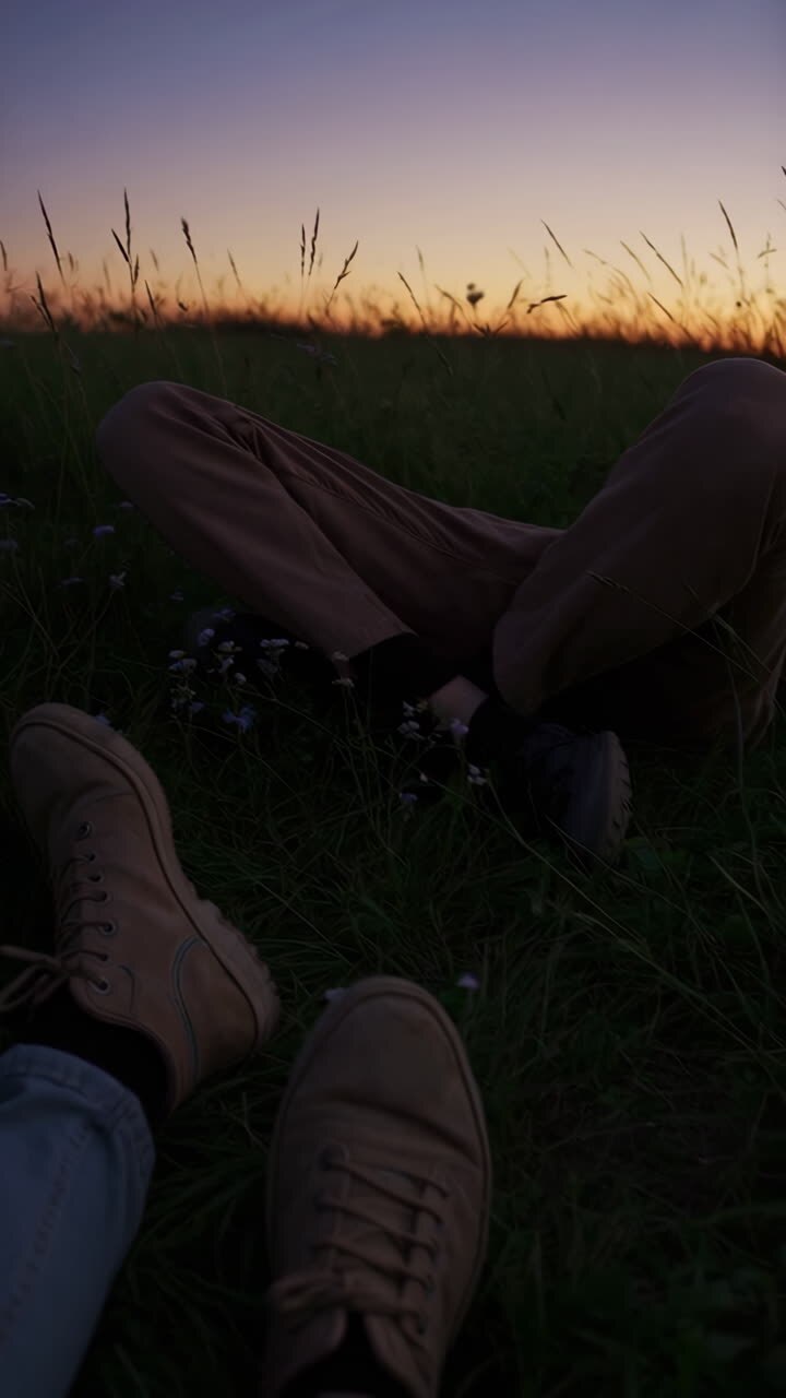 People Relaxing in a Grassy Field at Sunset