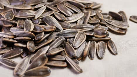 sunflower seeds spilling on a white background