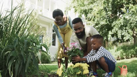 Glückliches-Afroamerikanisches-Paar-Mit-Sohn,-Der-Blumen-Im-Sonnigen-Garten-Pflanzt,-Zeitlupe