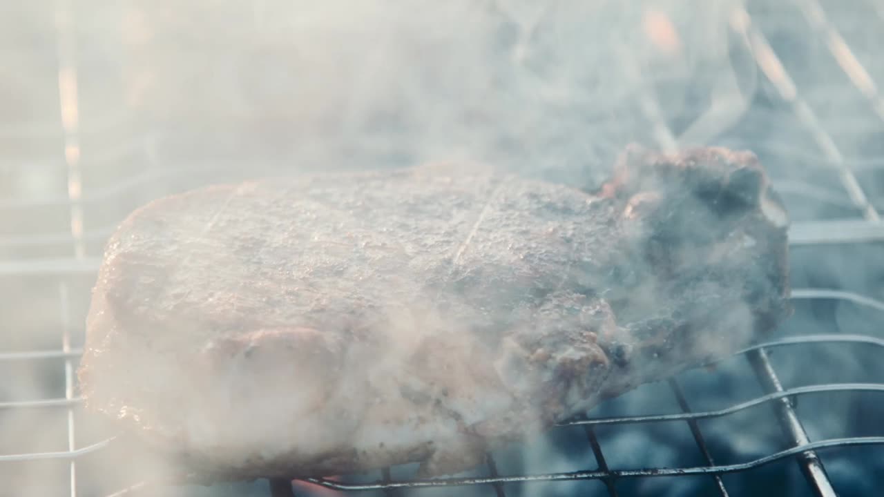 Closeup Pork Kebabs Barbecuing on Metal Skewers. Pork Meat Grilling on Brazier