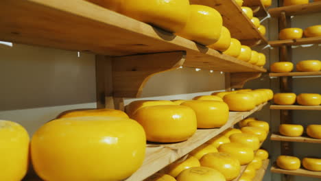 shelves of dutch cheese