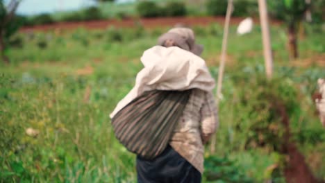 Mujer-Con-Bolsa-Caminando-A-La-Plantación-Para-Cosechar-Durante-El-Día-Soleado,-Cerrar-Cámara-Lenta