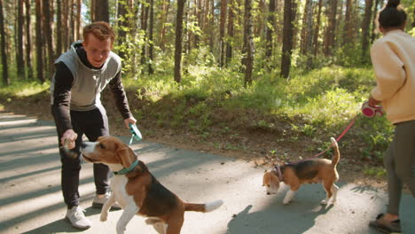 couple playing with their beagles in a forest