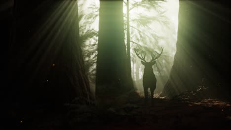 beautiful deer in the forest with amazing lights at morning