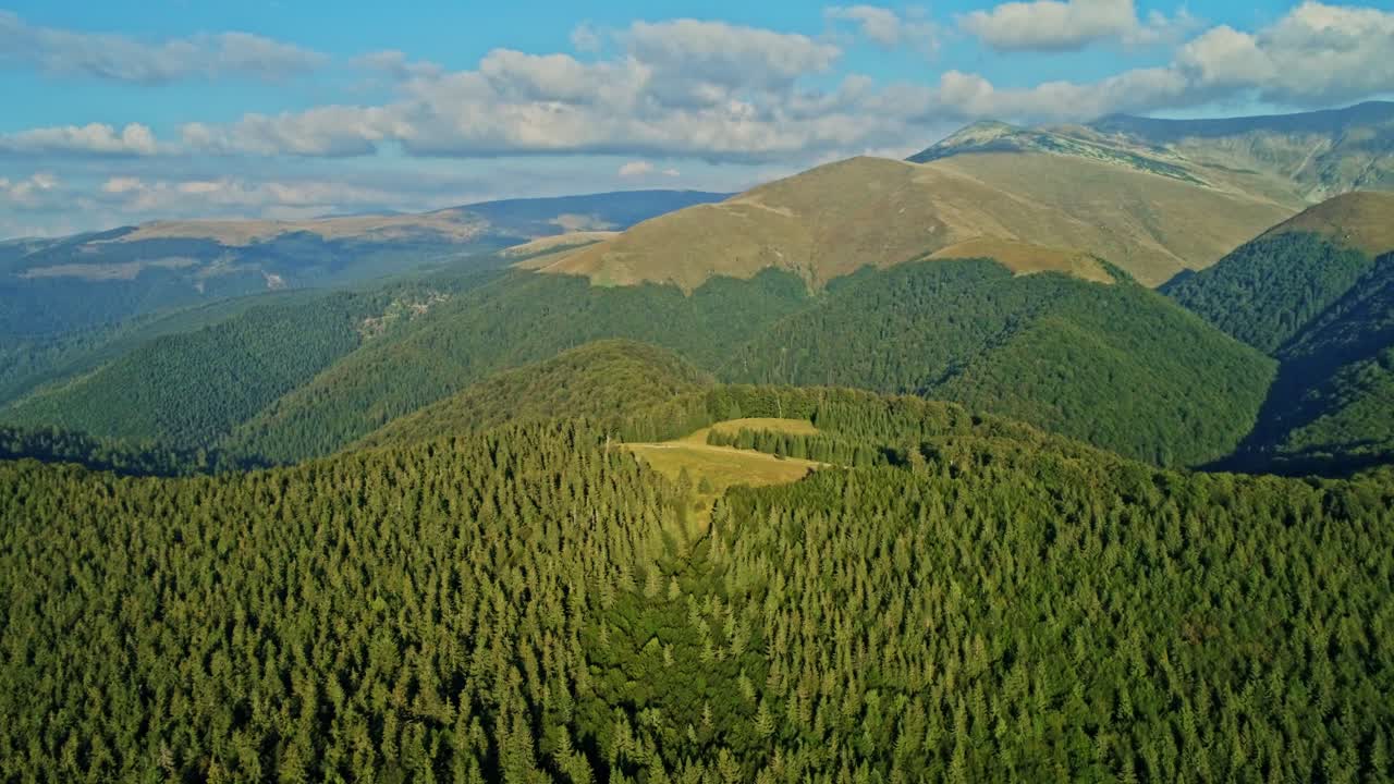 imágenes aéreas de drones vista de las montañas de los cárpatos tarcului con un hermoso prado verde y árboles