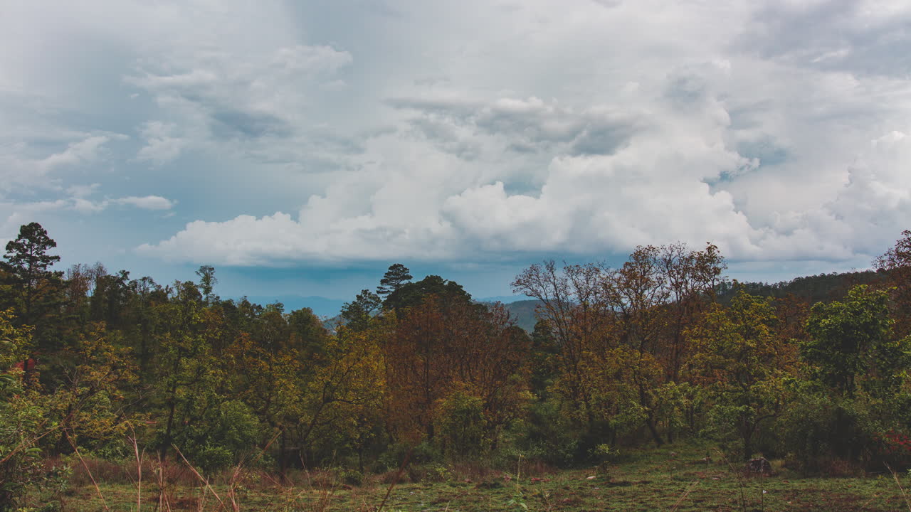 un lapso de tiempo de un bosque en el otoño con nubes densas