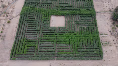 Video-De-Drones-De-Un-Laberinto-De-árboles-En-Lima,-Perú