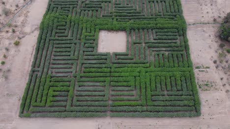 video de drones de un laberinto de árboles en lima, perú