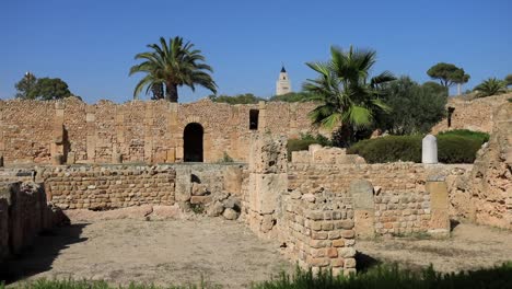 Ancient-Roman-ruins-in-Carthage,-Tunisia-with-palm-trees-under-blue-sky