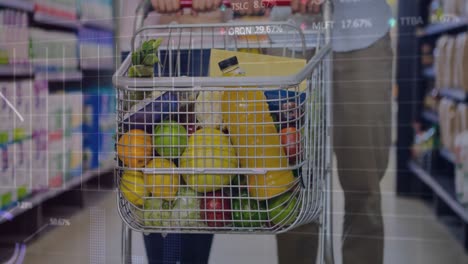 Animation-Der-Finanzdatenverarbeitung-über-Dem-Einkaufswagen-Im-Supermarkt